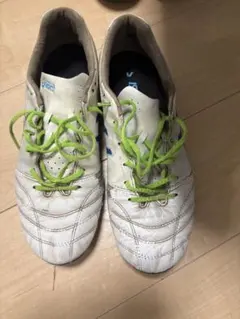 Item thumbnail for item 269e94cc-a70d-4557-8e8c-4a40cf91555b