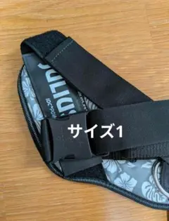 Item thumbnail for item bdf93ec3-810b-417b-8ae8-56d8a4d69875