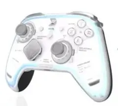ZD Ultimate Legend コントローラー alpsスティックセット - メルカリ