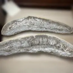 アウガルテン スズメのフィギリン - メルカリ