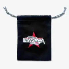 Item thumbnail for item be1d3a2d-ab66-4f63-b137-e8a362825b72