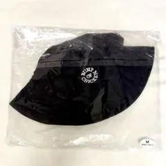 Item thumbnail for item 2d7435d7-dd5e-4227-a7cf-a3d544845984