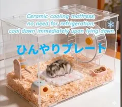 ハムスター用 セラミック冷却マット 暑さ対策　ストーンプレートのサムネイル