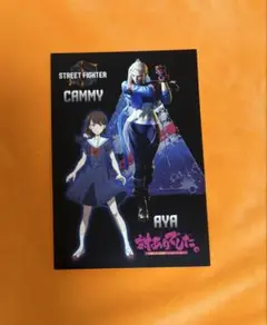 TGS2025 会場限定　対ありでした。　ストリートファイター　ポストカード