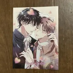 【特典のみ】一日一回、君と恋をする　コミコミ 特典 リーフレット