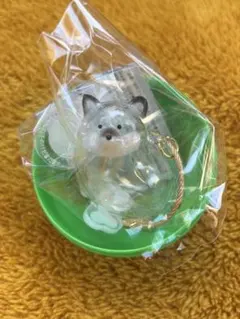 うちの子のけだまだま 犬のけだまだま 限定アソート　黒柴