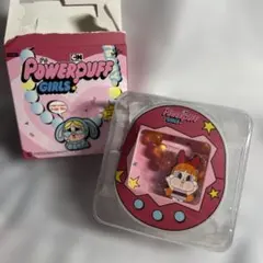 パワーパフガールズ ブロッサム