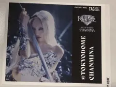 ちゃんみな(CHANMINA)AOD FINALステッカーセット - メルカリ