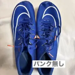 NIKEマックスフライ26.0 パンク無し