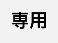 【 専用出品⠀】3個セット