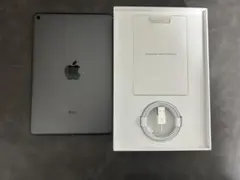 iPad mini 第5世代 バッテリー残99%美品（充電器付き）