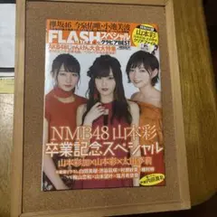 FLASHスペシャル 2018年秋号 山本彩 卒業記念スペシャル