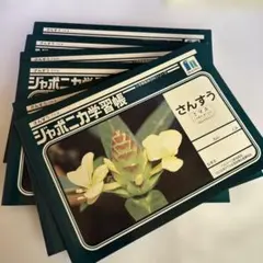 Item thumbnail for item 0782d43c-84b3-4ba5-8e25-9e7ae94d269a