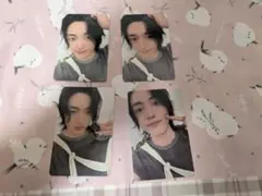 ハルト　シーグリトレカセット