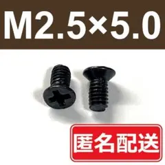 《本数変更可》M2×5　皿頭　小ネジ　HDD　SSD　修理　ビス　2.0　5.0