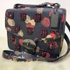 Item thumbnail for item 9a21c521-d4c2-42a7-b699-61b9081da541