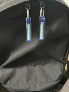 キーホルダー 2個セット ギアエイド（Gear Aid） 蓄光