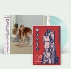 2026年最新】wet leg レコードの人気アイテム - メルカリ