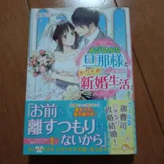 滝井みらん　イジワルな旦那様とかりそめ新婚生活　ベリーズ文庫　tl小説