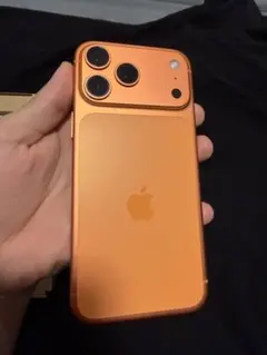 某17Proの本体へ交換済 512GB版！ 魔改造iPhone XsMax - メルカリ
