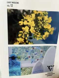 SEVENTEEN Carat Magazine Vol.12【最新版】