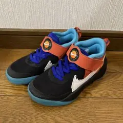 nike バスケ シューズ
