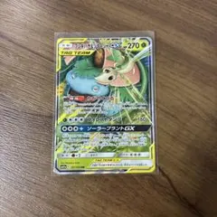 フシギバナ&ツタージャGX RR