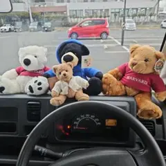 Item thumbnail for item 228d203f-8079-4a43-8389-0951dc073a2d