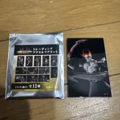 仮面ライダーアギト　トレーディングアクリルマグネット シャイニングフォーム