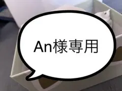 An様専用ページ