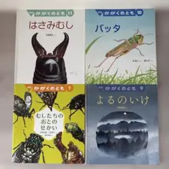 がっけんのかがくえほん かがくのとも すなといしであそぼう なぞなぞ