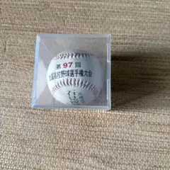 第97回全国高校野球選手権大会 記念ボール