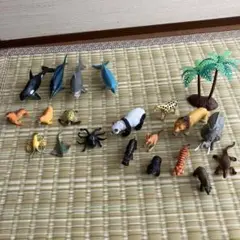 アニマル王国と海の王国セット　西松屋