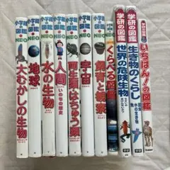 小学館の図鑑NEO・学研の図鑑