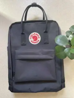 フェールラーベン カンケンリュック 16L 大容量 バックパック