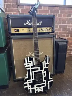2026年最新】fernandes limited edition -tejの人気アイテム - メルカリ