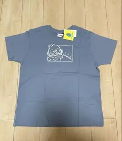 Item thumbnail for item 2285f9c0-5ca6-4e50-95f8-dcc1deb8c497