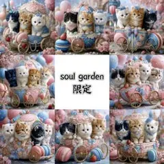 soul garden 13