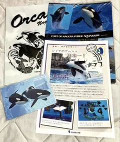 2025年最新】名古屋港水族館 りんの人気アイテム - メルカリ