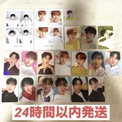 NACIFIC × Stray Kids チャンビン 19枚セット まとめ売り