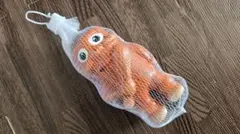 ブレインロット トゥントゥントゥンサフール スクイーズ