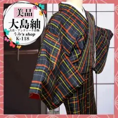 美品✨大島紬 袷 カラフル 格子柄 チェック柄 昭和レトロ カジュアル 大正浪漫