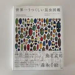 世界一うつくしい昆虫図鑑
