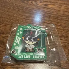 JSB LAND FOREVER 山下健二郎アクリルキーホルダー - メルカリ