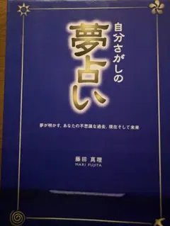 Item thumbnail for item 9d19717a-3a84-4d87-b1e1-9eaa2f4c1a11