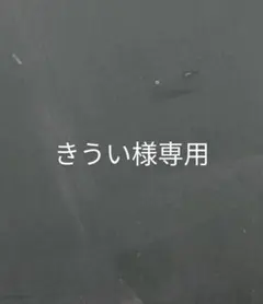 きうい様専用ページ