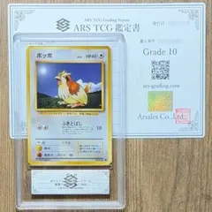 ARS鑑定10 世界5枚 ポッポ ポケカ 旧裏 鑑定品 鑑定書 ARS10
