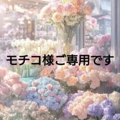 セモア　ブライダルインナー F70収納バッグ付き 2025年最新】セモア ブライダルインナー F70の人気アイテム