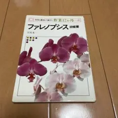 Item thumbnail for item 171d8369-32ae-4cb6-901e-c0f3f4cc3004