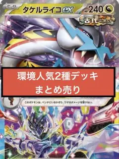 【タケルライコex】構築済デッキ2セット【ソウブレイズex】